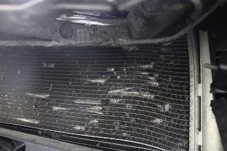 Seat Ibiza  picture 18