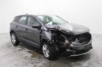 Opel Grandland X picture 2
