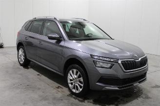 Skoda Kamiq  picture 2