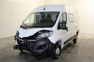 Opel Movano  picture 1