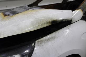 Renault Clio  picture 6