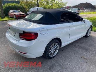 BMW 2-serie  picture 5