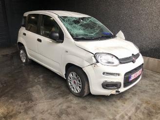 Fiat Panda  picture 1