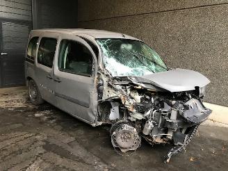 Renault Kangoo (KW) MPV 2018 1.2 16V TCE MPV  Benzine 1.197cc 84kW (114pk) FWD picture 1