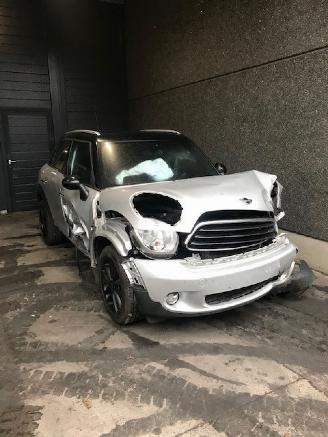 Mini Countryman  picture 1