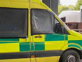 Mercedes Sprinter Sprinter 3,5t (906.63), Van, 2006 / 2020 313 CDI 16V picture 11