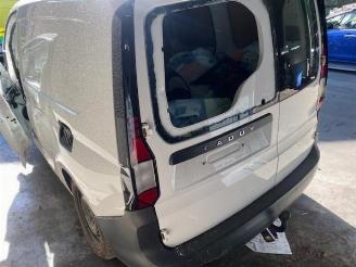 Volkswagen Caddy Caddy Combi V (SBB/SBJ), MPV, 2020 2.0 TDI BlueMotionTechnology picture 7