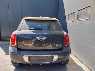 Mini Countryman  picture 10