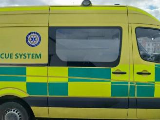 Mercedes Sprinter Sprinter 3,5t (906.63), Van, 2006 / 2020 316 CDI 16V picture 8