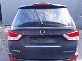 Ssang yong Rodius Rodius, MPV, 2005 2.2 SV 220 e-XDi 16V 2WD picture 14