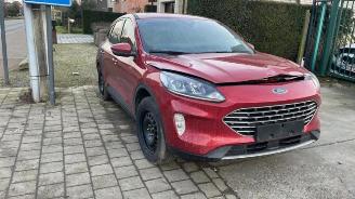 Salvage car Ford Kuga Kuga III (DFK), SUV, 2019 1.5 EcoBlue 2020/7