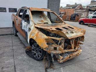 Ford Ranger Ranger, Pick-up, 2011 2.0 EcoBlue 16V 4x4 picture 8