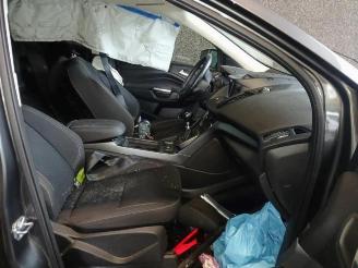 Ford Kuga Kuga II (DM2), SUV, 2012 1.5 EcoBoost 16V 120 picture 13