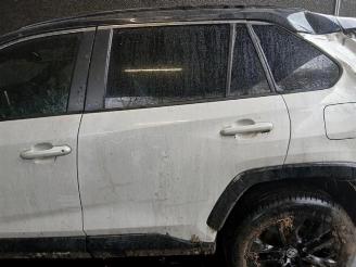 Toyota Rav-4 RAV4 (A5), Terreinwagen, 2018 2.5 Hybrid 16V picture 6