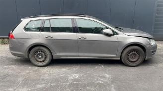 Volkswagen Golf Golf VII Variant (AUVV), Combi, 2013 / 2021 1.6 TDI BlueMotion 16V picture 4