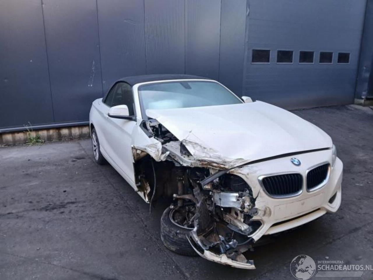 BMW 2-serie 2 serie (F23), Cabrio, 2014 / 2021 228i 2.0 Turbo 16V