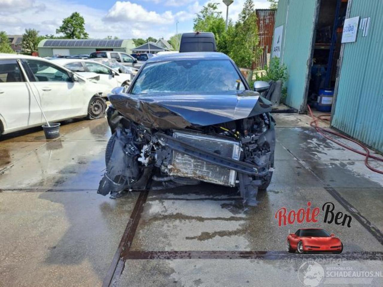 Volkswagen Golf Golf VIII (CD1), Hatchback, 2019 2.0 TSI R 16V 4Motion