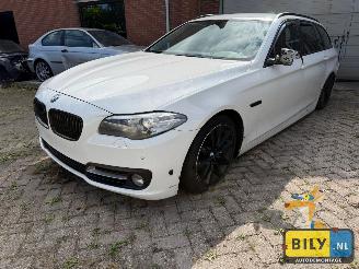Vrakbiler auto BMW 5-serie BMW F11 520XD B47D20 Alpineweiss 3 2014/1