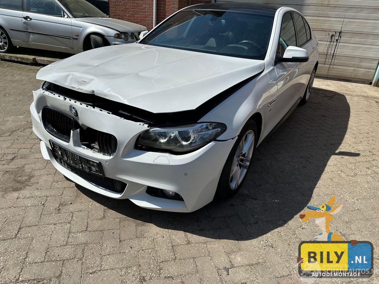 BMW  F10 518D Alpinewiess 3