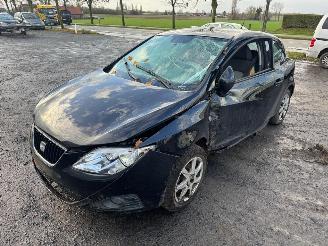 Avarii autoturisme Seat Ibiza  2009/9