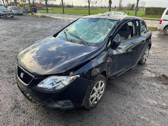 Seat Ibiza  picture 1