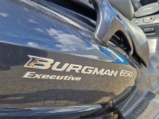 Suzuki  AN 650 BURGMAN EXECUTIVE picture 19