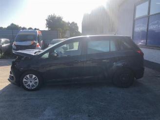 Ford Grand C-Max Grand C-Max (DXA), MPV, 2010 / 2019 1.0 Ti-VCT EcoBoost 12V 100 picture 4