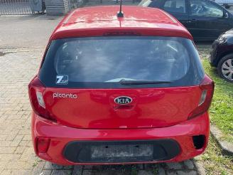 Kia Picanto  picture 4