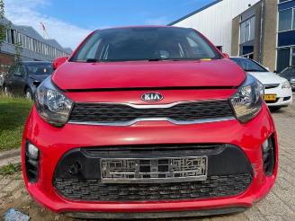 Kia Picanto  picture 8