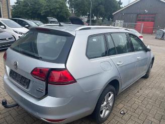 Volkswagen Golf Golf VII Variant (AUVV), Combi, 2013 / 2020 1.6 TDI 16V picture 5