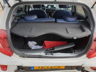 Kia Picanto Picanto (JA), Hatchback, 2017 1.0 12V picture 14