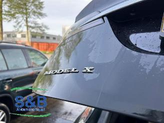 Tesla Model X Model X, SUV, 2013 P100D picture 34