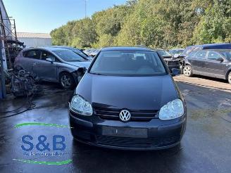 Volkswagen Golf Golf V (1K1), Hatchback, 2003 / 2010 1.9 TDI picture 8