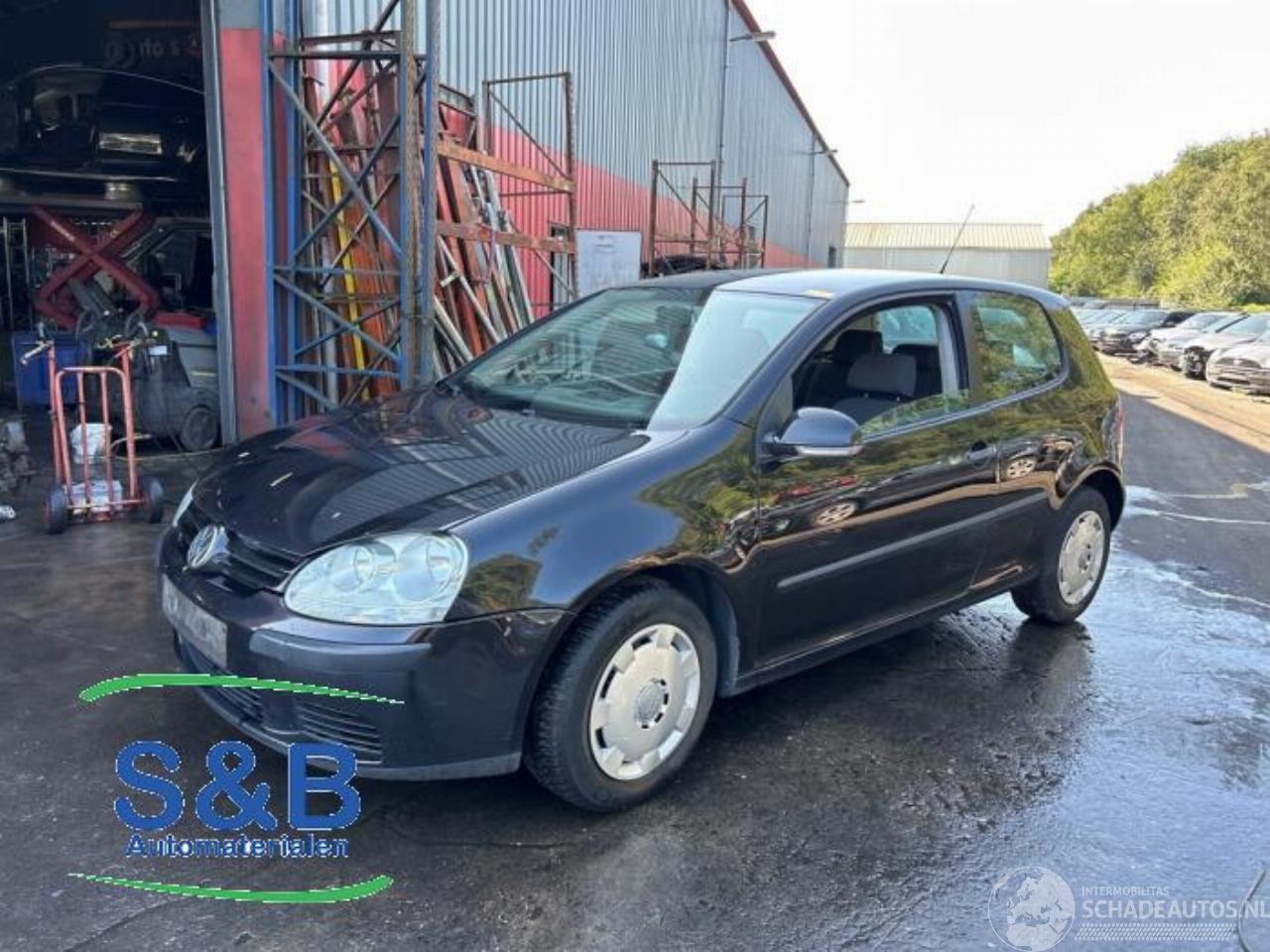 Volkswagen Golf Golf V (1K1), Hatchback, 2003 / 2010 1.9 TDI