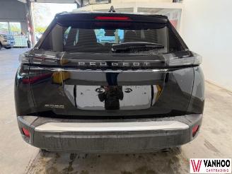 Peugeot 2008  picture 11