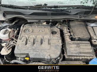 Volkswagen Golf Sportsvan Golf Sportsvan (AUVS), MPV, 2014 / 2021 1.6 TDI BlueMotion 16V picture 8