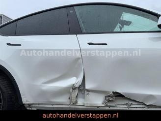 Tesla Model 3 Model Y Performance Dual AWD 393KW picture 7