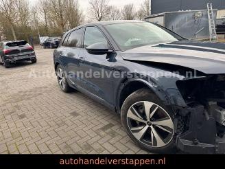 Audi Q8 e-tron 55 Quattro S line Panorama picture 10