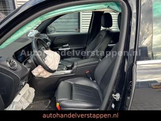 Mercedes EQB 300+ 4Matic 168KW Progressive Panorama FULL picture 22