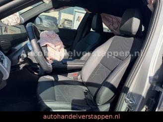 BMW X1 xDrive 25e 180KW PHEV Navi LED 4WD picture 17